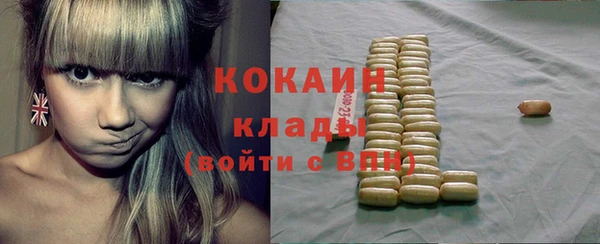 винт Мегион