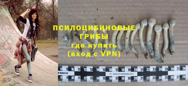 мдпв Медвежьегорск