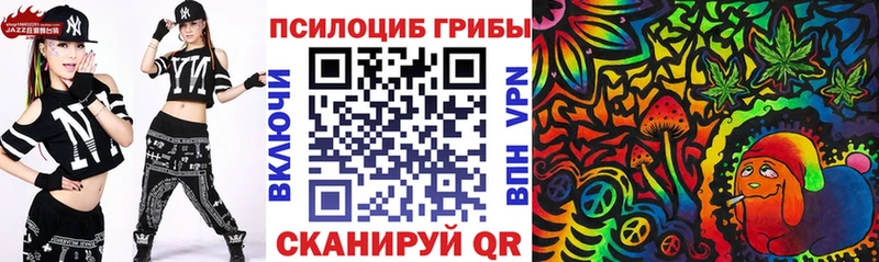 Купить где  Козельск  Псилоцибиновые грибы GOLDEN TEACHER 